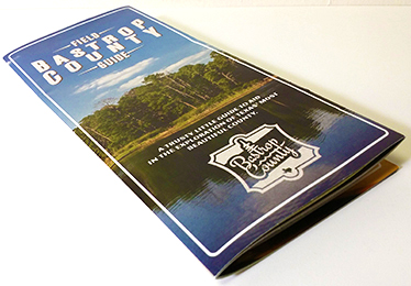 Brochure Printing